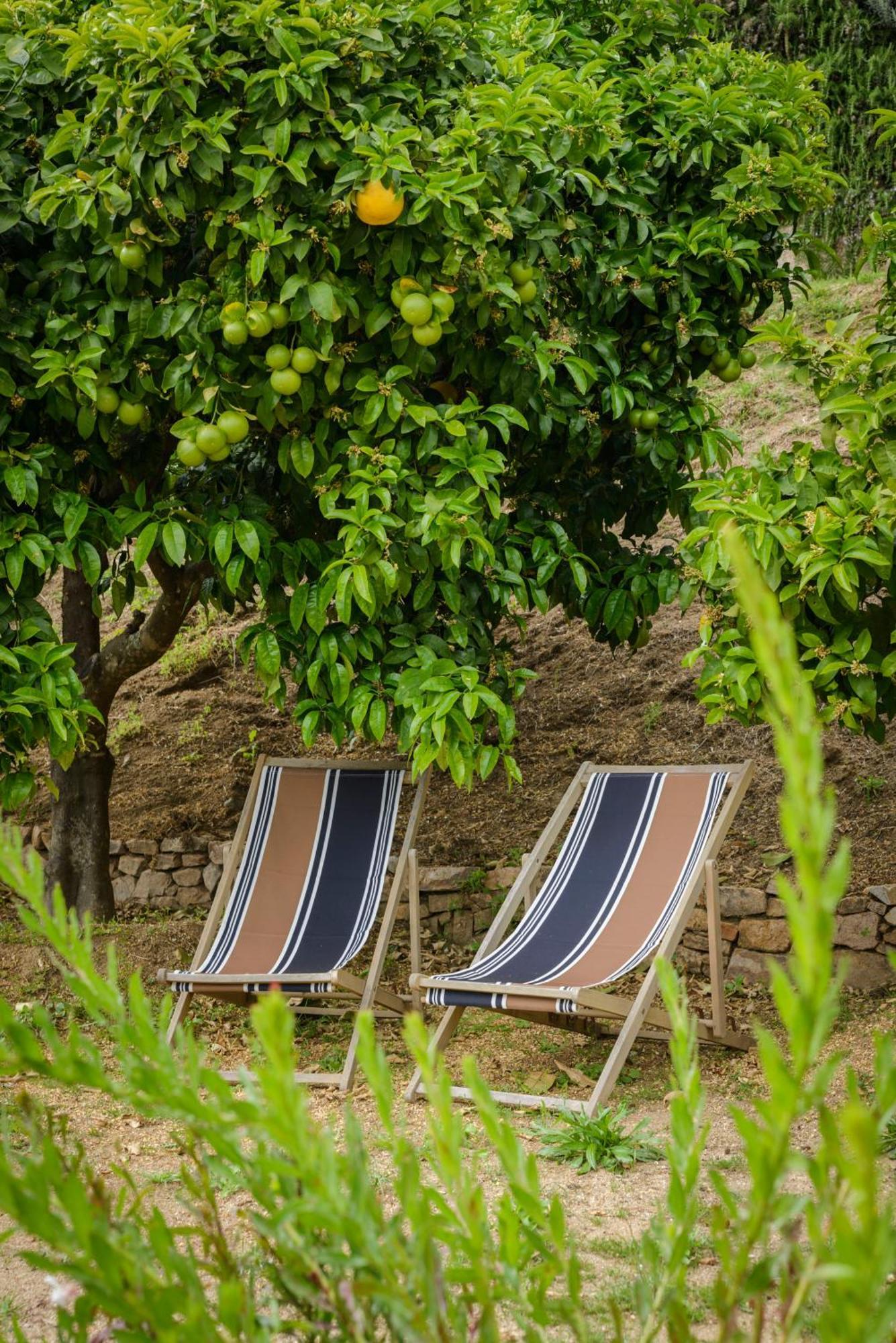 Terre de Maquis, maison d'hôtes vue mer Corse Sari-D'orcino Extérieur photo
