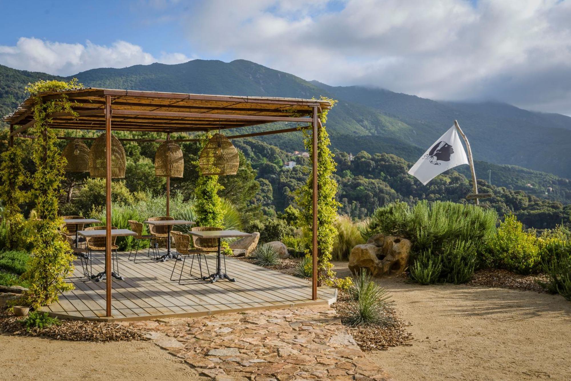 Terre de Maquis, maison d'hôtes vue mer Corse Sari-D'orcino Extérieur photo