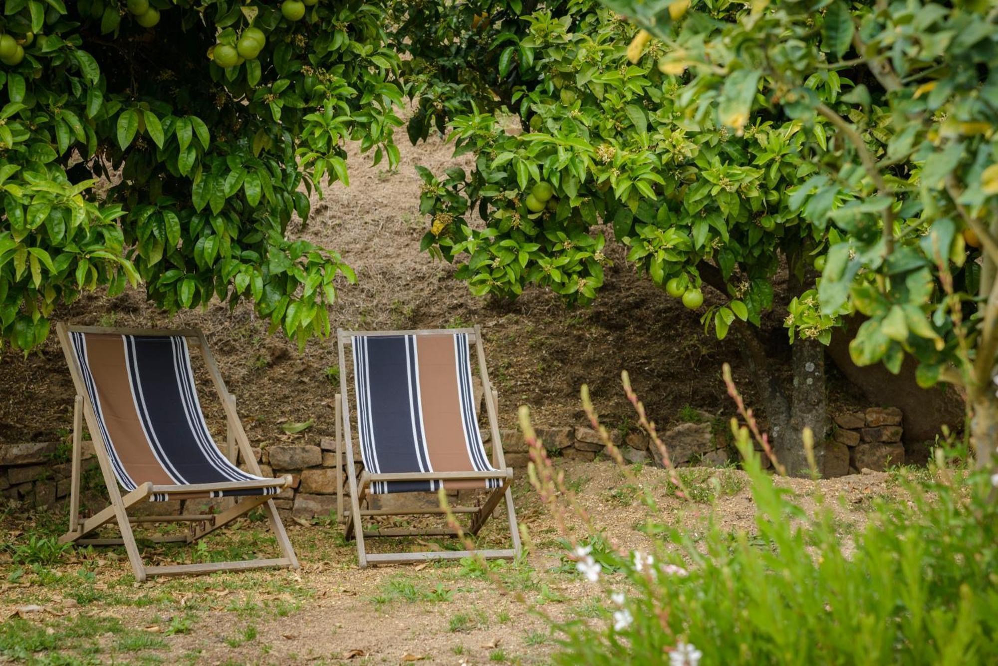 Terre de Maquis, maison d'hôtes vue mer Corse Sari-D'orcino Extérieur photo